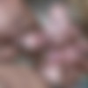 Deep Throat This-27 /   -27 (Peter Nord) [Oral, DVDRip]  AVI thumb