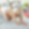 LifeSelector Combined Megapack 1 [1080p] thumb