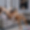 [OnlyTarts.com] Polly Yangs, Mia Mi - Home Schooling [2024 ., All Sex, Big tits, Hardcore, Natural tits, Threesome, Cumshot, Facial, Teen, 2160p] thumb
