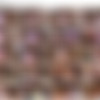 [Nudolls.com] - 2011 - 03 -  - [11 Video 960x520 + 11  + ] thumbnail