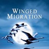 Winged Migration [2001] / H264 / MKV / Blu-ray / 1080p / True-HD / Subs thumb