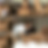 Chacha Anku (aka Ai Mizushima, Anku Tyatya) / - -... :  ,    -  [8042] (Akibahonpo.com) [uncen] [2013 ., Uncensored, All Sex, Reality, Blowjob, GAL, Gyno, Cunnilingus, POV, SiteRip] thumb