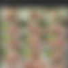 [dreamtranny.com] DreamTranny Collection thumbnail