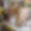 [ShowyBeauty.com] 2019-08-23 Marciana - Charming Smile [Erotic] [1080p] thumb