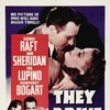 They Drive by Night 1940 1080p BluRay x264-OFT thumb