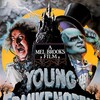 Young Frankenstein [1974] / H264 / MKV / Blu-ray / 1080p / DTS / Subs / Scene / CiNEFiLE thumb