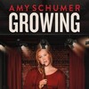 Amy Schumer: Growing [2019] / H264 / MKV / WEB / 1080p / AC3 / Subs / Scene / AMRAP thumb