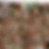 Debbie White - 109 Clip Pack {  } thumb