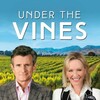 Under the Vines S03E01 1080p WEB H264-DiMEPiECE thumb