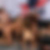 [Digitalplayground.com] Nina North, Cassidy Klein, Lena Paul, Blair Williams, Adriana Chechik, Aria Alexander (DP Star Season 3 Episode 6 - Top 5 Orgy Finale) [2017 ., All Sex, Orgy, Anal, Squirt, DP, DV, Live, Competition, 1080p] thumb