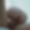 [AussieAss.com] Satine Spark - 405 Love The Way You Lie (27.12.2017) [2017 ., Teen, Petite, Blowjob, Hardcore, Creampie, 720p] thumbnail