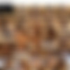 BananaFever.com SITERIP June 2019 [720p - 1080p] thumb