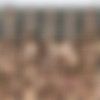 UraBukkake.com Mini Pack thumbnail