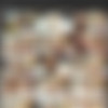 [dreamtranny.com] DreamTranny Collection thumbnail
