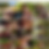 Presley Dawson Megapack (57 vids) thumb