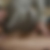 [NewSensations.com] Harmony Wonder (No More Role Playing For Harmony) [2019-04-24, All sex, Hardcore, Blowjob, Latina, Brunette, Facial, Step Family, Tiny Tits, 1080p] thumb