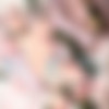 [cen] [Trap, Crossdresing, Yaoi, Shemale, Feminization, Gender Bender] [jap, eng, rus, chi, kor] thumbnail