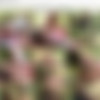 [Oldje.com] Siterip 2|2 Emp-Exclusive [162 Scenes][720p] thumb