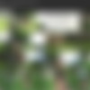 Watch4Beauty - July-December 2022 - 1080p thumb