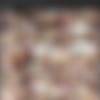 [dreamtranny.com] DreamTranny Collection thumbnail