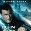 Born to Raise Hell 2010 1080p Blu-ray Remux AVC DTS-HD MA 5 1-HDT thumb