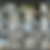 [NIP-Activity.com] SiteRip 2007-2017 (MegaPack 481 scenes) thumb