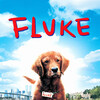 Fluke [1995] / H264 / MKV / WEB / 720p / AC3 / Subs / QOQ thumb