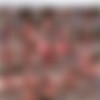 Cherry Blush - The Ultimate Collection (540 Videos) thumbnail