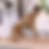 [NancyAce.com/Katya-Clover.com] 2019-10-04 Katya Clover And Nancy Ace - Only Queens [Erotic, Massage, Close Ups, Breasts, Shaved] [1080p] thumb