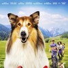 Lassie Ein Neues Abenteuer 2023 NORDiC 1080p BluRay x264-EGEN thumb