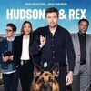 Hudson and Rex 2019 S06E16 Rex Drugs And Rock and Roll 1080p AMZN WEB-DL DDP 5 1 x265 - YELLO thumb