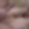 [FirstAnalQuest.com] Rita Lee - 473 (27.11.2017) [2017 ., Anal, Amateur, Blowjob, Brunette, Cum On Face, Gape, Hardcore, Petite, Russian, Shaved Pussy, Skinny, Small Tits, Teen, Toys, Young, 1080p] thumb
