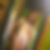 Teen Selfie Poses [Amateur] [ 576*431  3456*2592, 113] thumb