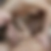 [18OnlyGirls.com] Anjelica (Burn My Passion / 28.09.12) [2012 ., Blowjob, Handjob, Hardcore, Pussy Licking, Shaved Pussy, Small Tits, Stockings, 720p] thumb