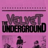 The Velvet Underground [2021] / H264 / MKV / WEB / 720p / AC3 / Subs thumb