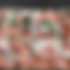 Shae Summers Megapack thumbnail