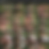 Jana Diskret (24) (Jana L. (porndoepremium.com), Ziska (amateureuro.com)) Pack [2011-2017, Facial, Big Tits, MILF] thumbnail
