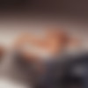 [Hegre.com] 2019-06-25 Dominika C. - Erotica Exposed [Erotic, Solo, 1080p] thumb