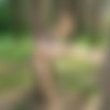 Lady A [Amateur Picture Gallery] [11041138 - 5184x3856, 210 +GIF] thumb