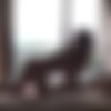 [Petracentral.com] 2017-10-14 Petra Verkaik - Shadow & Silhouette [Solo, Brunettes, Erotic, Big tits, Posing] [1080p, SiteRip] thumb