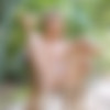 [MPLStudios.com] 2017-03-21 Aida - Garden Pastel [Erotic] [26684000, 75  + 1 ] thumb