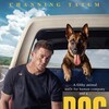 Dog 2022 BluRay 1080p DTS-HD MA 5 1 AVC REMUX-FraMeSToR thumb