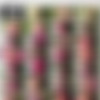 [Pinupfiles.com] Brandy Robbins - Fishnet Foliage 1, 2 (2 ) [2017 ., Solo,Big tits,Boobs,Blondes,Posing., 720p] thumb