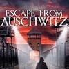 The Escape From Auschwitz [2020] / H264 / MKV / WEB / 1080p / AC3 / EVO thumb