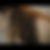 [X-Art.com] Teal, The Red Fox (Sex and Submission / 01.03.14) [2014 ., All Sex, 1080p] thumb