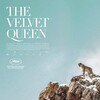 The Velvet Queen 2021 1080p BRRip DDP 5 1 H 265 -iVy thumb