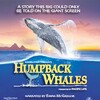 Humpback Whales 2015 2160p UHD BluRay x265-WhiteRhino thumb