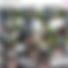BangBus 17.08.09 Victoria.June XXX.1080P.MP4-B9R thumb