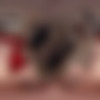 [XSinsVR.com / SinsVR] Matty Mila Perez - Red Vinyl And Black Laces [20.12.2024, Blowjob, Cowgirl, Cumshot, Doggystyle, Fingering, Handjob, Lingerie, Lying, Masturbation, Missionary, Natural Tits, POV, Reverse Cowgirl, Shaved Pussy, Sitting, Small Tits, Standing, Tattoo, Tease, Teen, Virtual Reality, SideBySide, 8K, 4096p, SiteRip] [Oculus Rift / Quest 2 / Vive] thumb