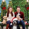 A Dogwalker's Christmas Tale [2015] / H264 / MKV / WEB / 1080p / AC3 / Subs / OnlyWeb thumb